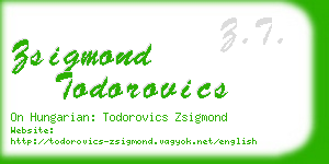 zsigmond todorovics business card